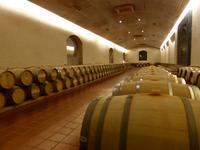 Chile - auf dem Weingut 