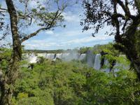 Argentinien/ Parque Nacional Iguazu - Spaziergang auf dem Upper Trail