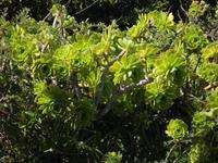 Isla Negra Pablo Neruda Haus