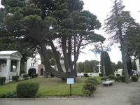 Punta Arenas