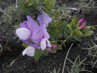 Wanderung im Nationalpark del Paine
