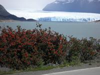 Perito Moreno Gletscher