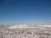 IMG_4002 Zu Besuch am Salzsee