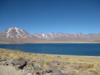 IMG_4012 Zu Besuch an den Lagunen Meniques und Miscanti