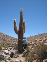 IMG_4032 Welch Dimensionen