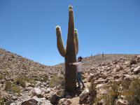 IMG_4039 Welch Dimensionen