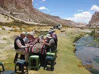 IMG_4122 Picknick unter freiem Himmel