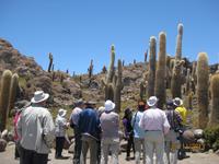 IMG_4131 die Insel Incahuasi