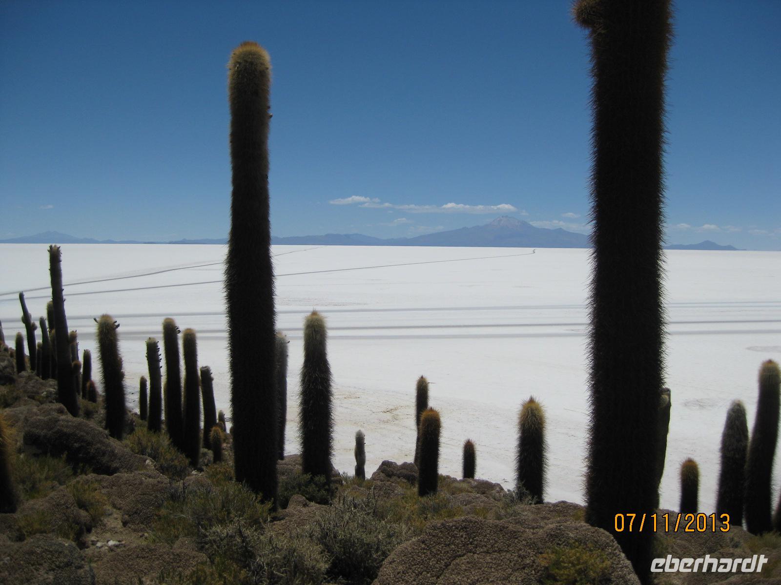 IMG_4133 die Insel Incahuasi