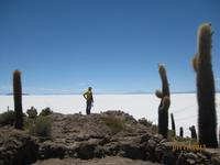 IMG_4137 die Insel Incahuasi