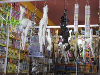 IMG_4202 Auf dem Hexenmarkt von La Paz