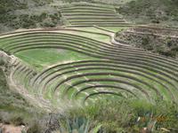 IMG_4304 Zu Besuch an der Stätte von Moray