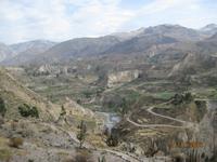 IMG_4396 Einblicke in das Colca Tal