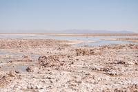 Chaxa-Lagune im Salzsee