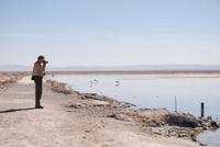 Chaxa-Lagune im Salzsee