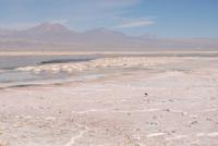 Chaxa-Lagune im Salzsee