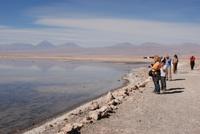 Chaxa-Lagune im Salzsee