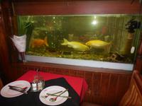 Mercado Central Santiago de Chile