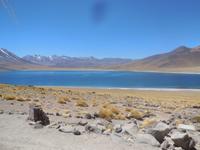 Lagune Miscanti im Andenhochland