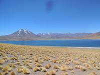 Lagune Miscanti im Andenhochland