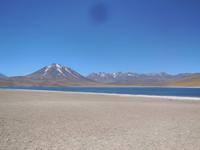 Lagune Miscanti im Andenhochland