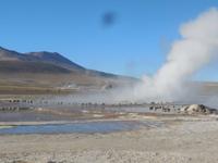El Tatio-Geysier