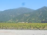 Fahrt ins Colchagua-Tal