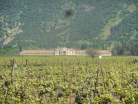 Colchagua-Tal