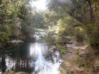 Wanderung zum Caburga-Wasserfälle 
