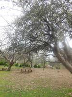 Wanderung zum Caburga-Wasserfälle 