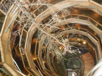 Hotel Nothofagus in Huilo Huilo