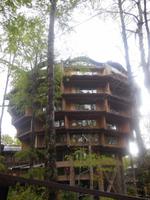 Hotel Nothofagus in Huilo Huilo Außenansicht