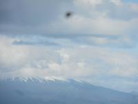 Restaurant Rancho Espantapajaros