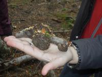 Feuerland-Nationalpark