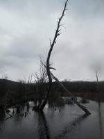 Im Feuerland-Nationalpark