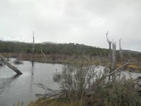 Im Feuerland-Nationalpark