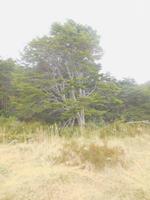 Ausflug zur Wulaia-Bucht