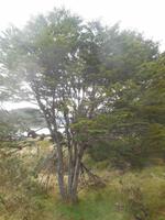 Ausflug zur Wulaia-Bucht