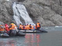 Ausflug im Zodiac zum Gletscher