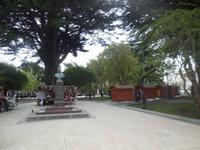 Markt von Punta Arenas