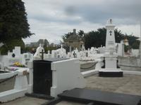 auf dem Friedhof in Punta Arenas