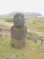 der sitzende Moai