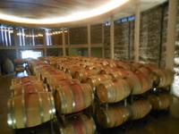 Weingut Matetic 