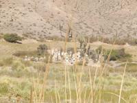 Friedhof an der Strecke des Tren a las Nubes
