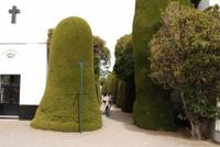 Cementerio Punta Arenas