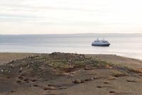 Landgang Insel Magdalena