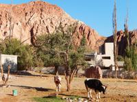 Pumamarcas Dorfleben