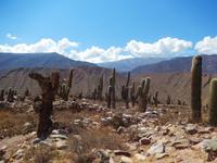 traumhafte Ausblicke, Tilcara