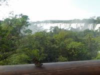 Schmetterling und Wasserfälle