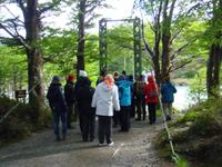 Wanderung zum Grey Gletscher